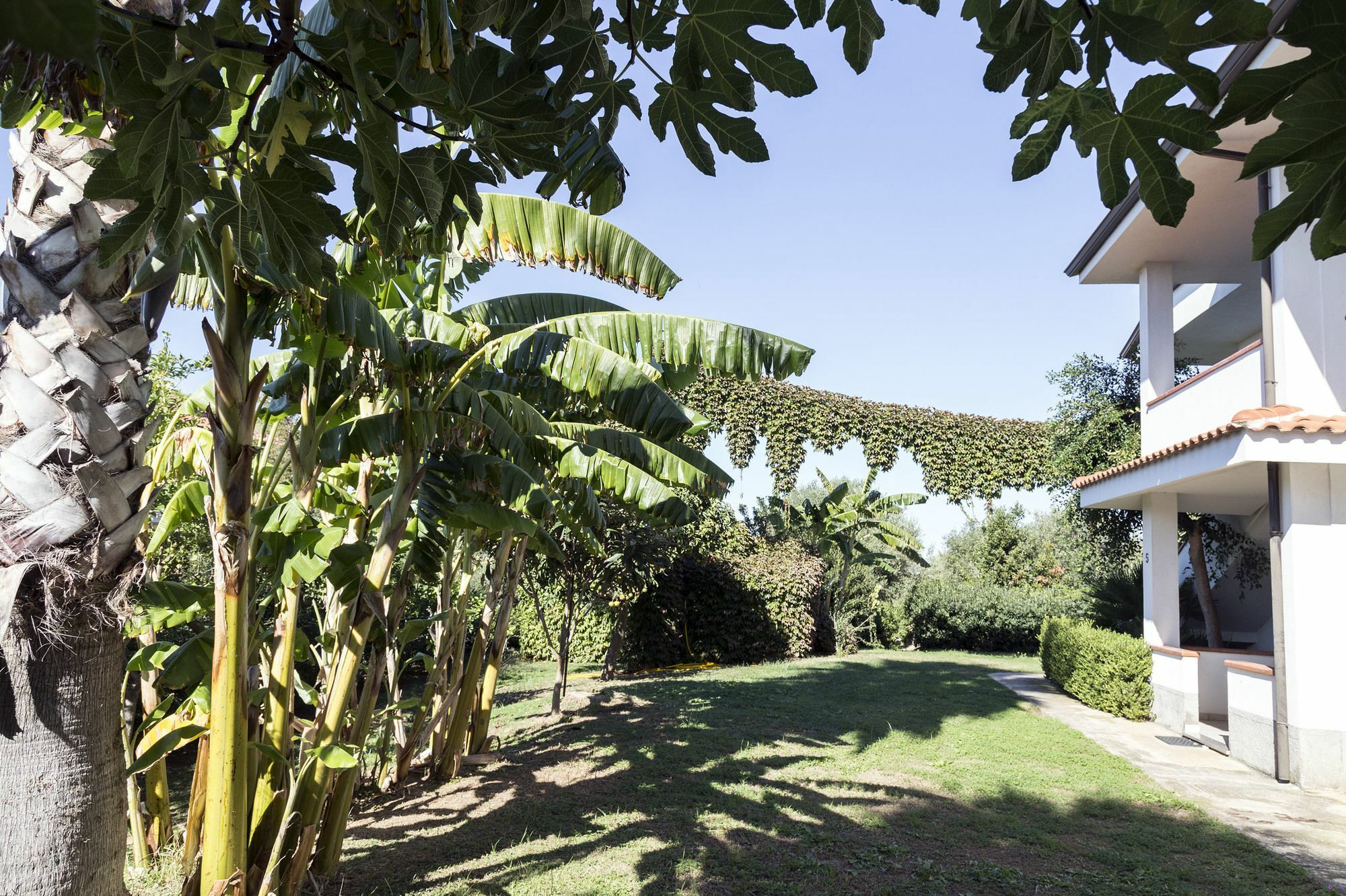 Aparthotel Happy Days Capo Vaticano Exterior foto